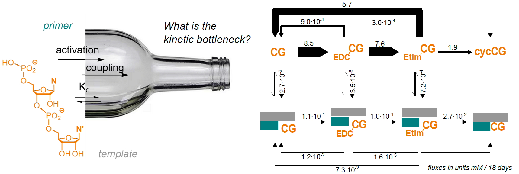 graphical_abstract_richert